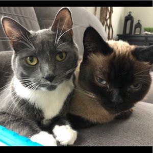 Meet your Posher, Nicole